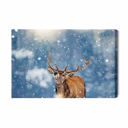 Canvastavla - Deer and snowflakes