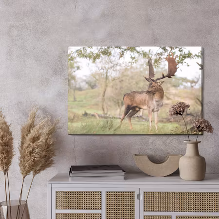 Canvastavla - Adult deer with magnificent antlers