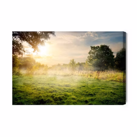 Canvastavla - A forest clearing in the morning