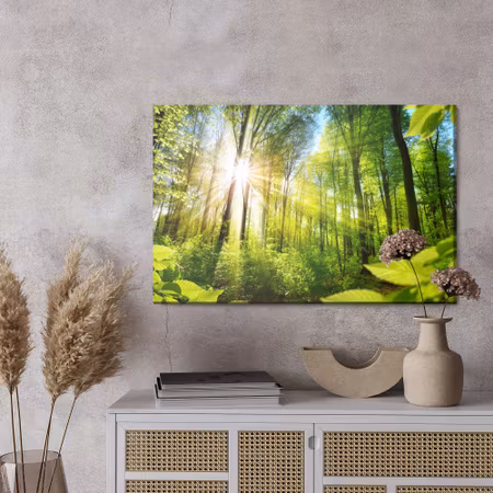 Canvastavla - Sunrise in a green forest