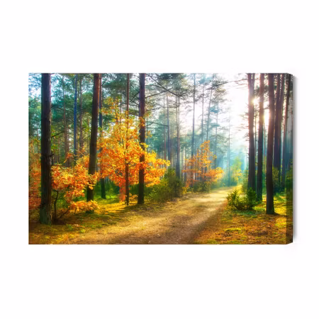 Canvastavla - Rays of the sun in the 3d forest