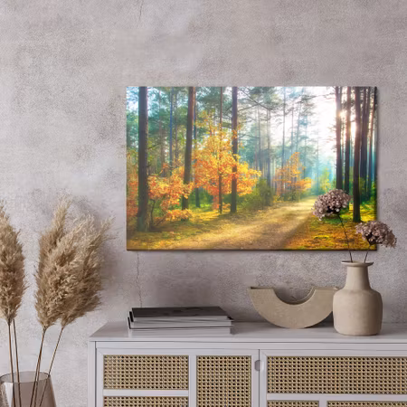 Canvastavla - Rays of the sun in the 3d forest