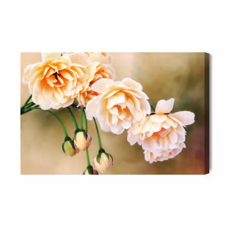 Canvastavla - Miniature roses