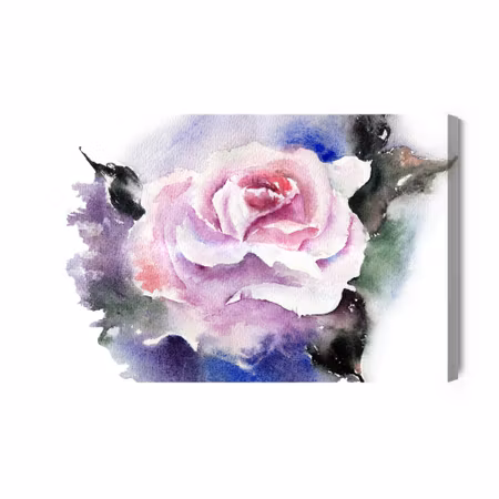 Canvastavla - Beautiful rose painted with watercolor