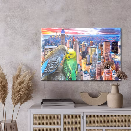 Canvastavla - Budgerigars against the backdrop of new