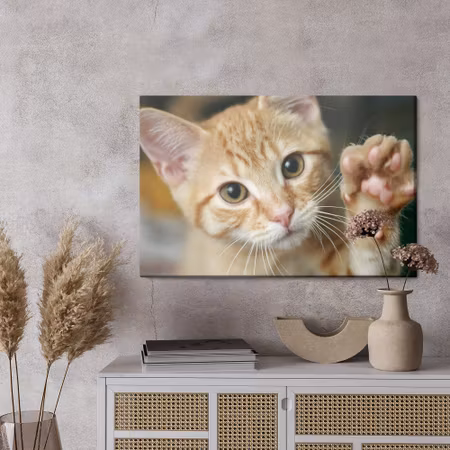 Canvastavla - Waving 3d kitten