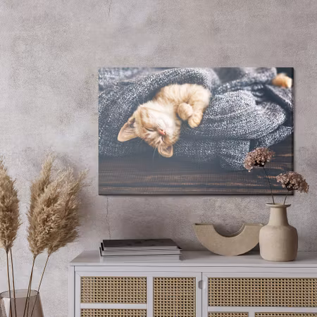 Canvastavla - Sleeping ginger kitten