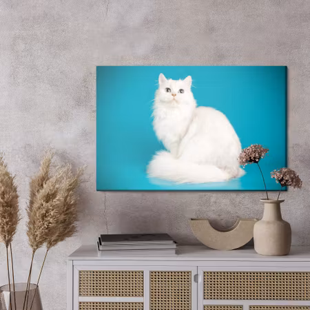 Canvastavla - White cat on a blue background