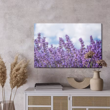 Canvastavla - Lavender against the sky