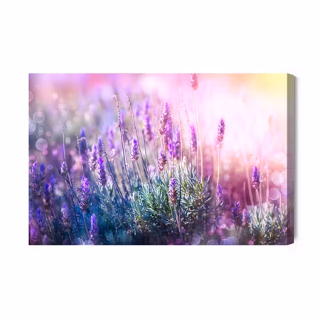 Canvastavla - Blooming lavender 3d