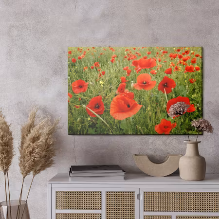 Canvastavla - Red poppies in the meadow