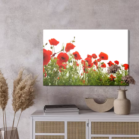 Canvastavla - Red poppies on a white background
