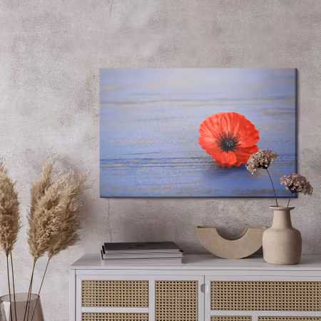 Canvastavla - Poppy flower on a blue wooden background
