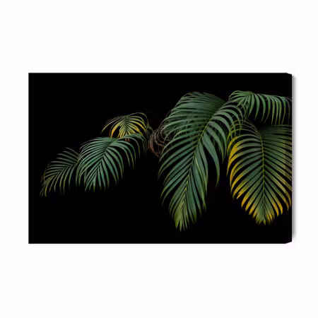 Canvastavla - Tropical palm leaves