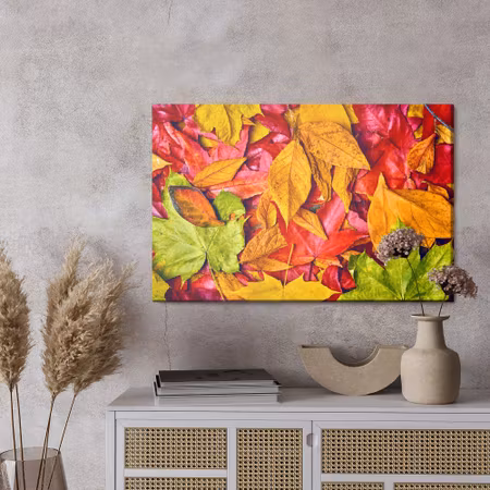 Canvastavla - Leaves in autumn colors