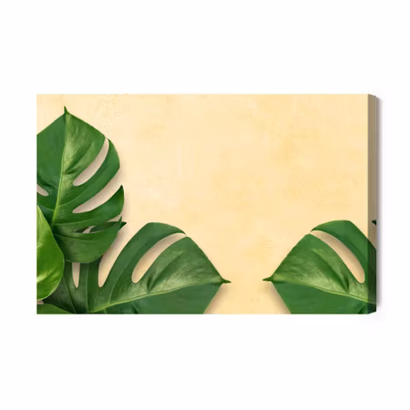Canvastavla - Monstera leaves on a beige background