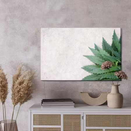 Canvastavla - Green leaves on a gray concrete