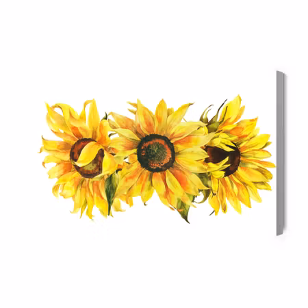 Canvastavla - Three sunflowers on a white background