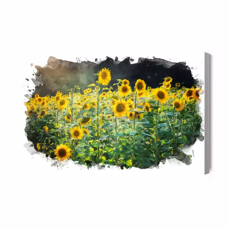 Canvastavla - A field of sunflowers in an artistic