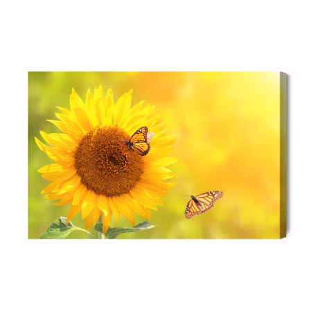 Canvastavla - Sunflower with butterflies
