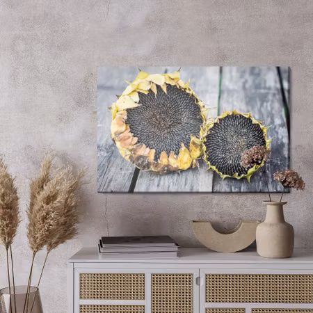 Canvastavla - Sunflowers on the background of gray