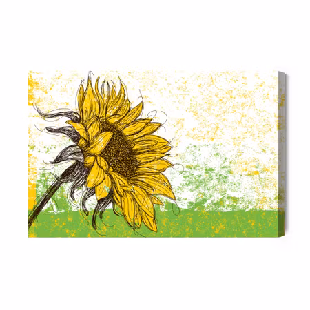 Canvastavla - Sunflower as sketched