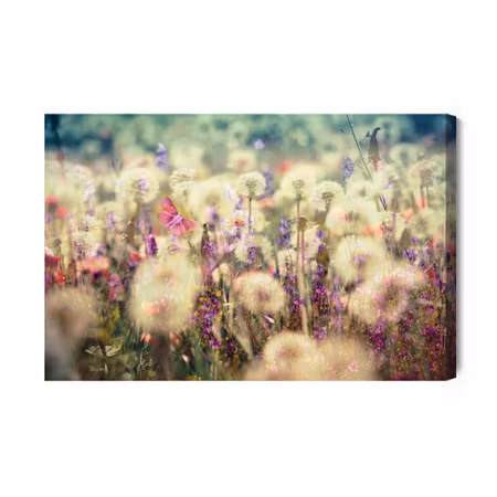 Canvastavla - Flowers on the meadow