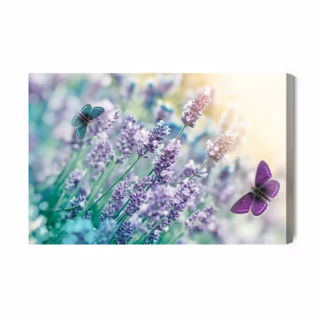 Canvastavla - Lavender and butterflies