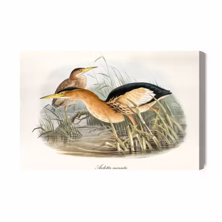 Canvastavla - Water birds