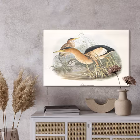 Canvastavla - Water birds