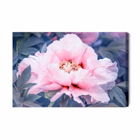 Canvastavla - Peony in the garden