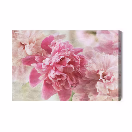 Canvastavla - Peonies in retro style