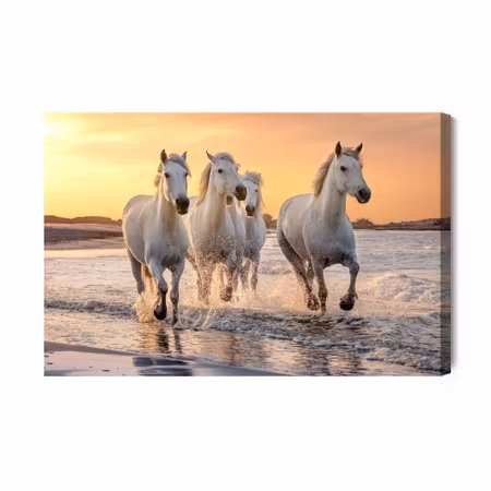 Canvastavla - Horses by the mediterranean sea