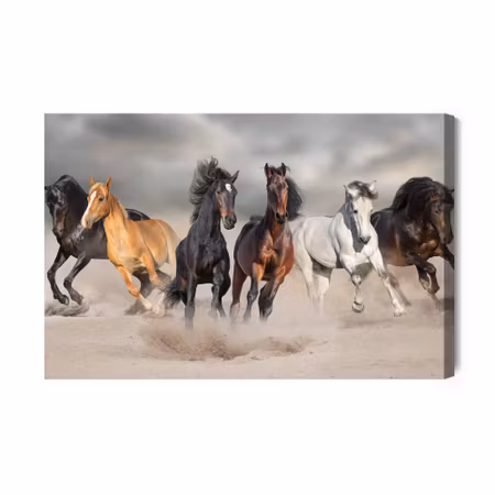 Canvastavla - Horses by the sea