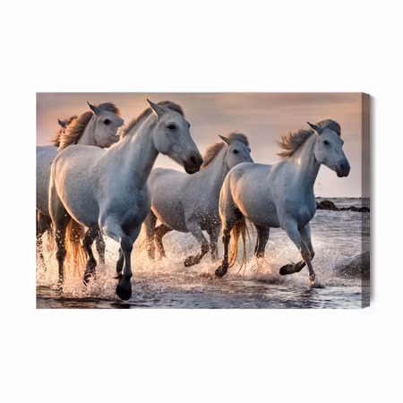 Canvastavla - White horses in the sea