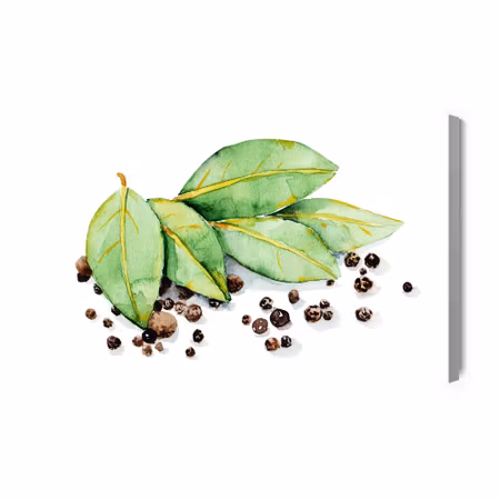 Canvastavla - Bay leaves with spices