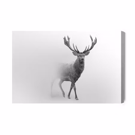 Canvastavla - Deer in black and white