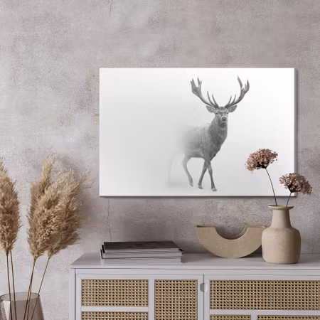 Canvastavla - Deer in black and white