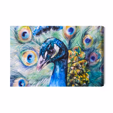 Canvastavla - Peacock with colourful feathers