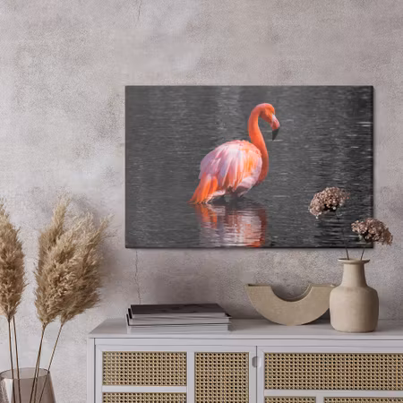 Canvastavla - Flamingos in the water