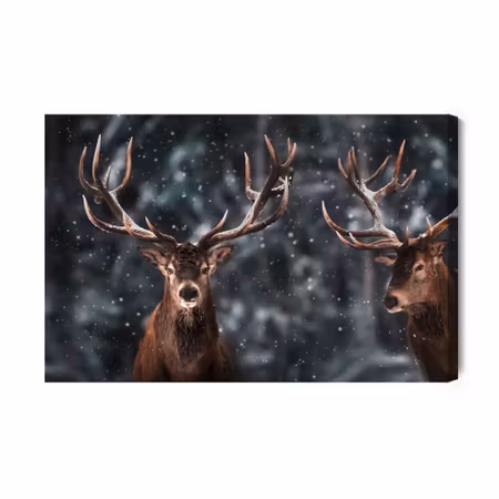 Canvastavla - Two magnificent stags