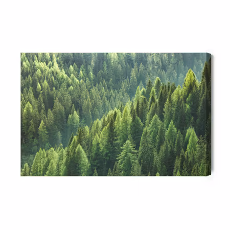 Canvastavla - Green coniferous forest