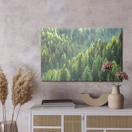 Canvastavla - Green coniferous forest