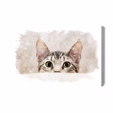 Canvastavla - Curious kitten painted in watercolour