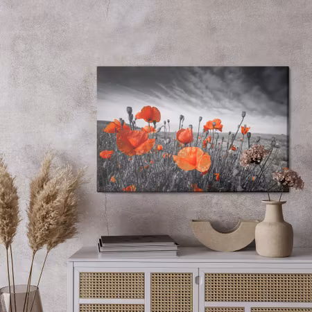Canvastavla - Wild poppies on a black and white meadow