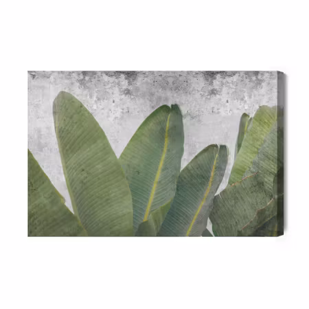 Canvastavla - Tropical leaves on concrete background