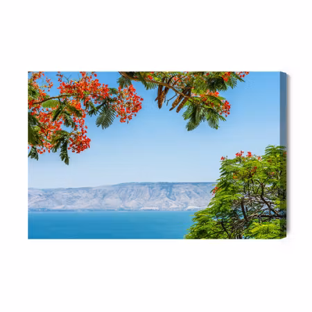 Canvastavla - Landscape with the sea and trees