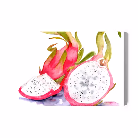 Canvastavla - Watercolor dragon fruit