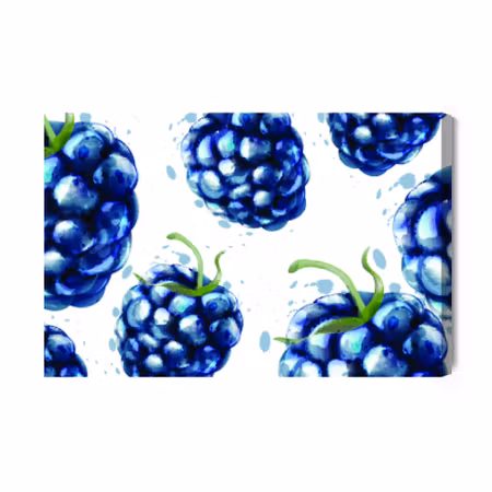 Canvastavla - Painted blackberries