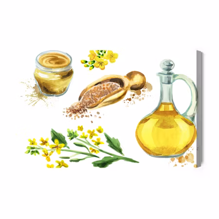 Canvastavla - Spices and flowers painted in watercolor